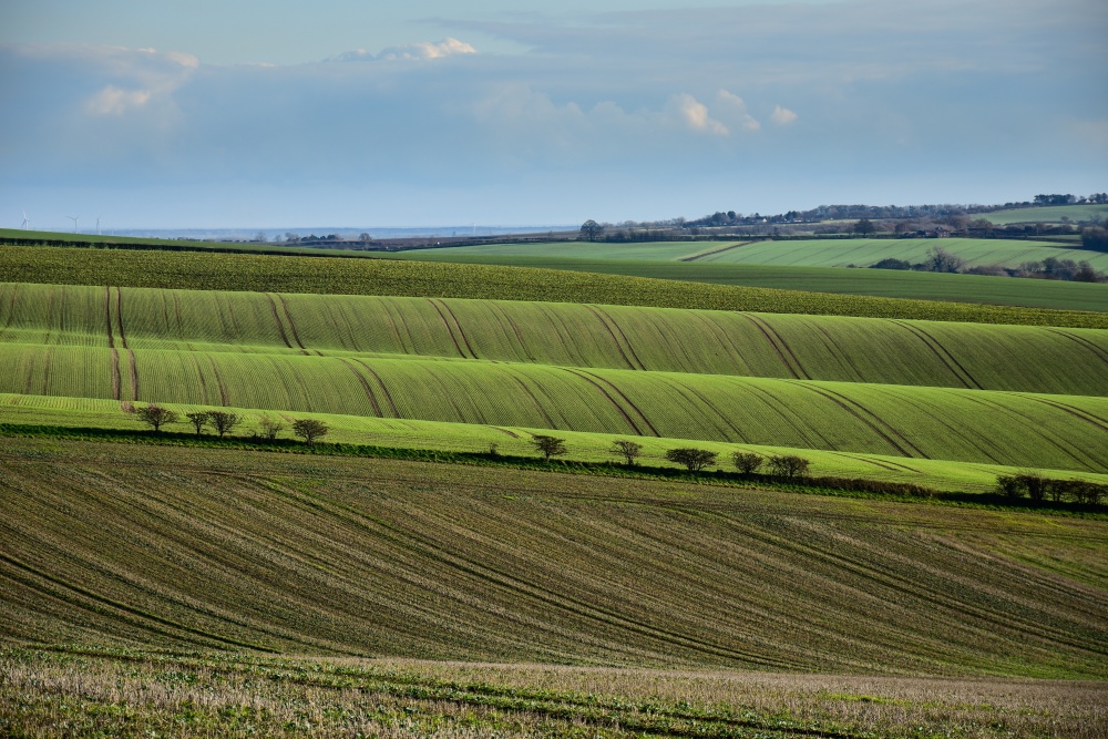 Rolling Wolds